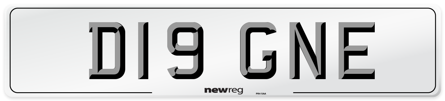 D19 GNE Number Plate from New Reg